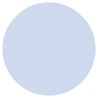 R1C1